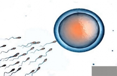 四川试管婴儿胚胎移植后的注意事项